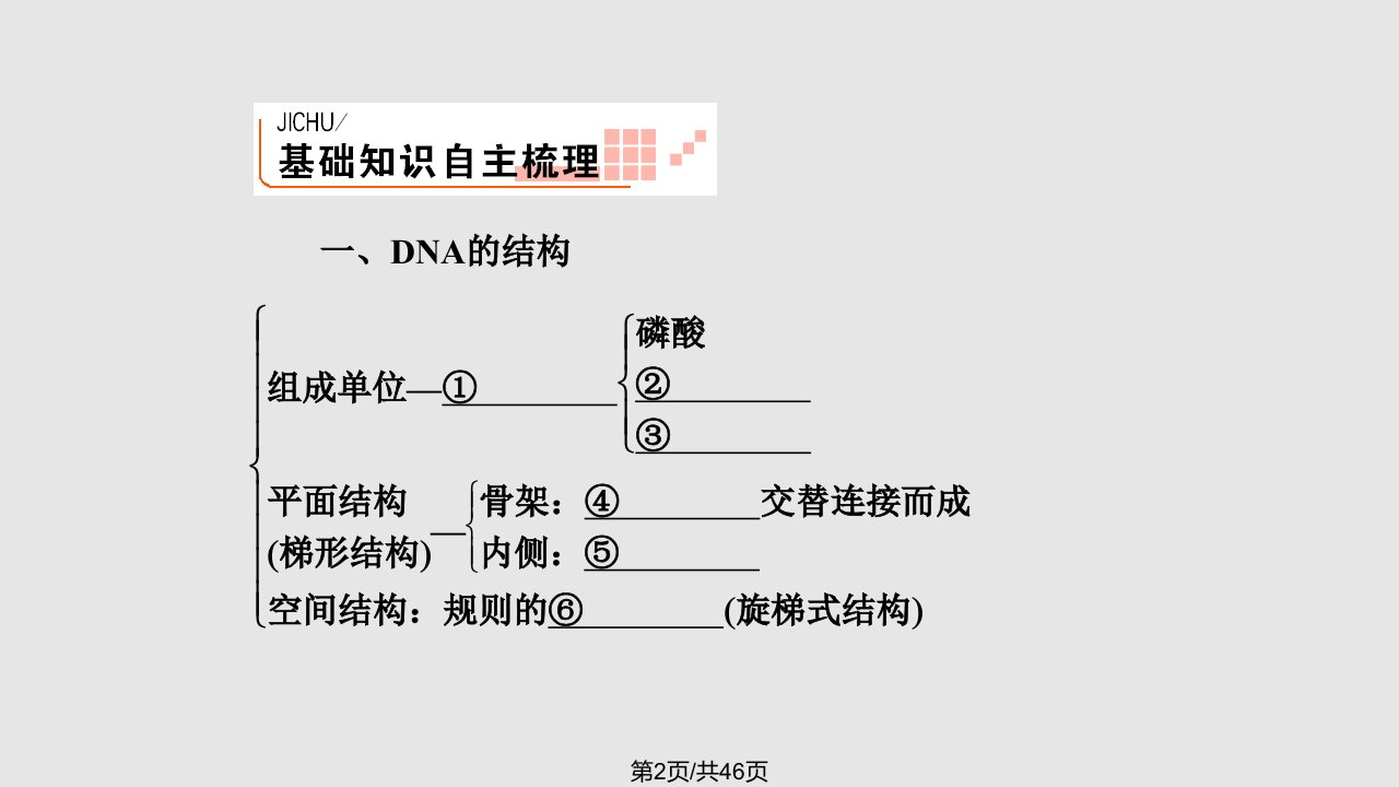 DNA的分子结构与复制