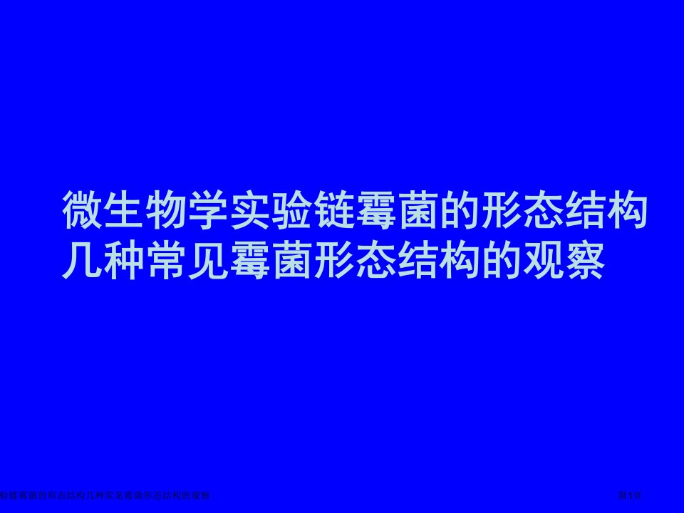 微生物学实验链霉菌的形态结构几种常见霉菌形态结构的观察