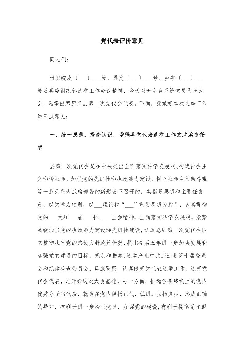 党代表评价意见