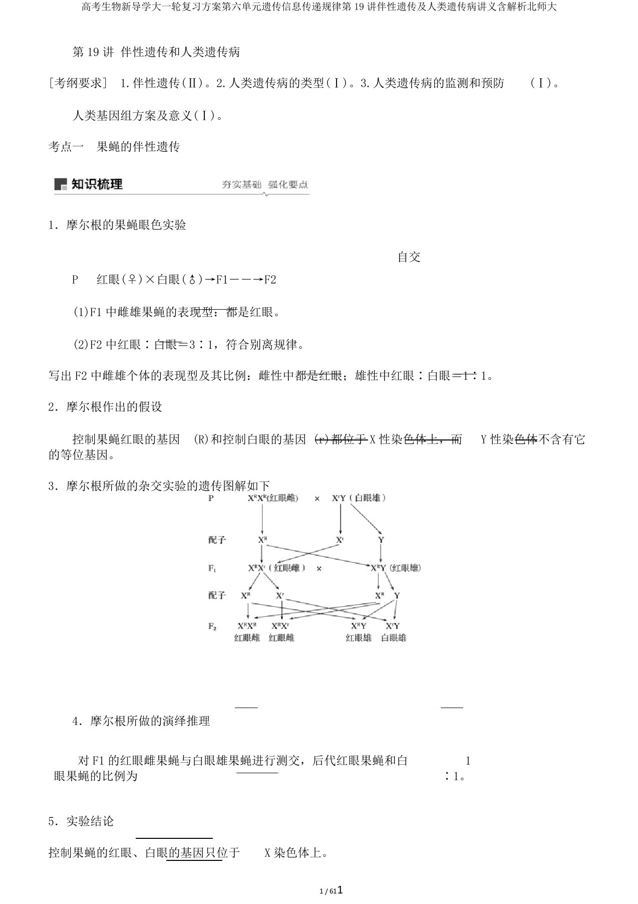 高考生物新导学大一轮复习计划第六单元遗传信息传递规律第19讲伴性遗传及人类遗传病讲义含解析北师大