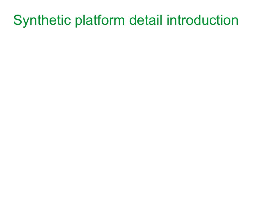 synthetic_platform_detail_introduction