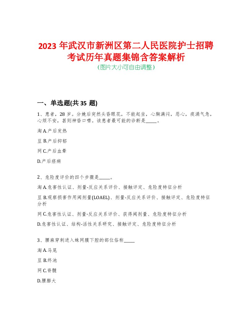 2023年武汉市新洲区第二人民医院护士招聘考试历年真题集锦含答案解析-0