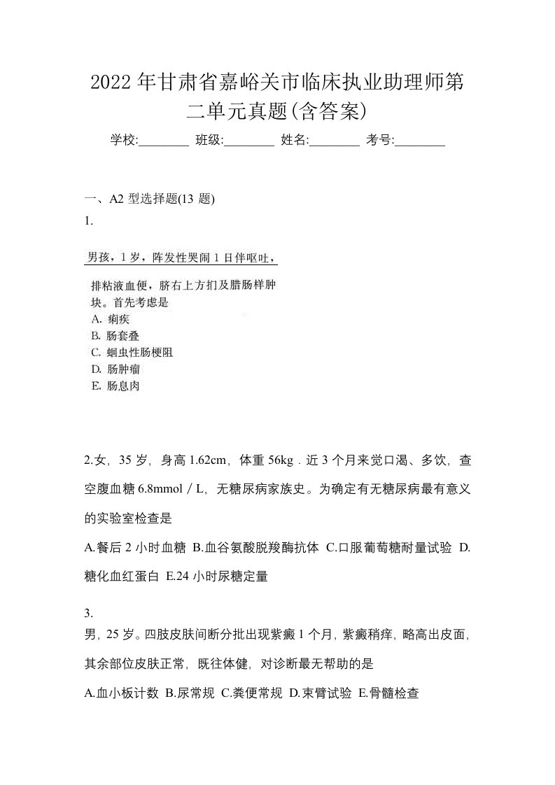 2022年甘肃省嘉峪关市临床执业助理师第二单元真题含答案