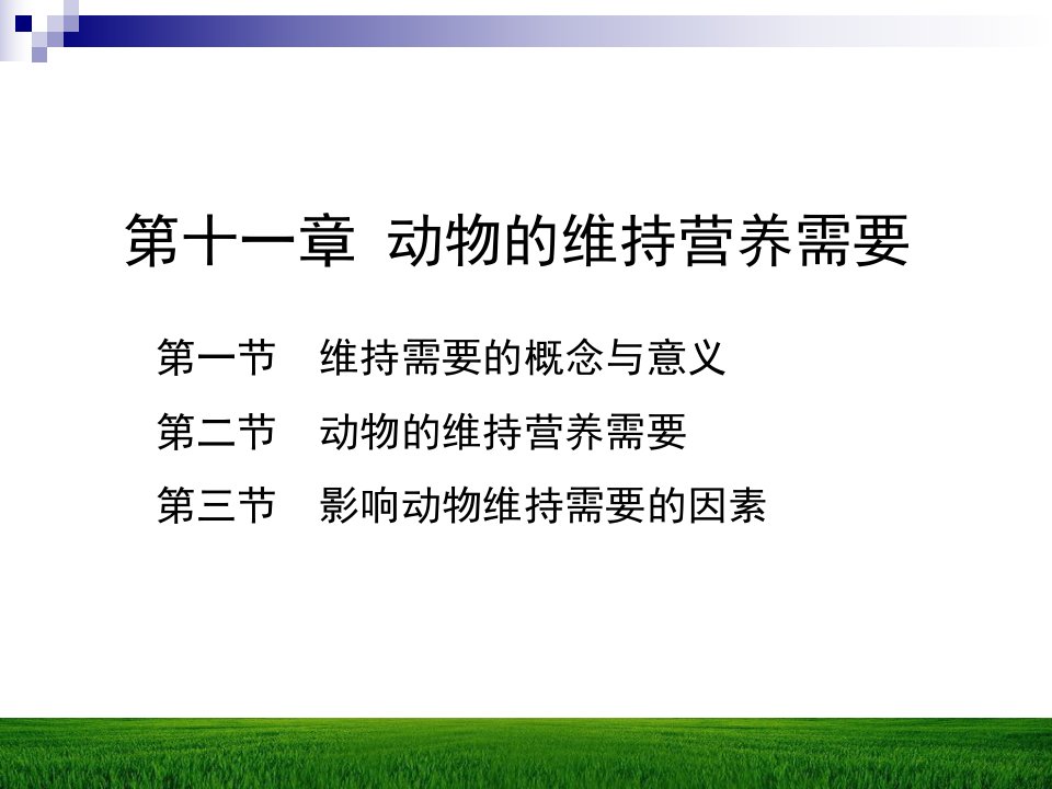 第十一章动物的维持营养需要ppt课件