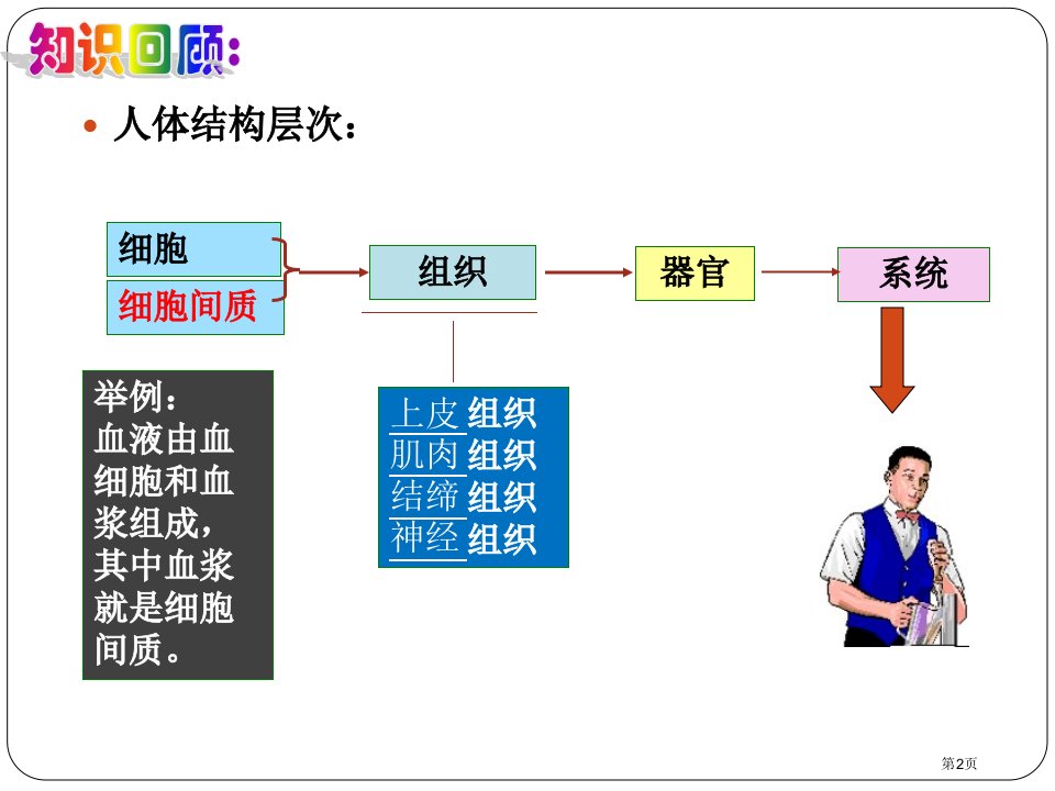 人体概述教学课件市公开课一等奖省优质课获奖课件