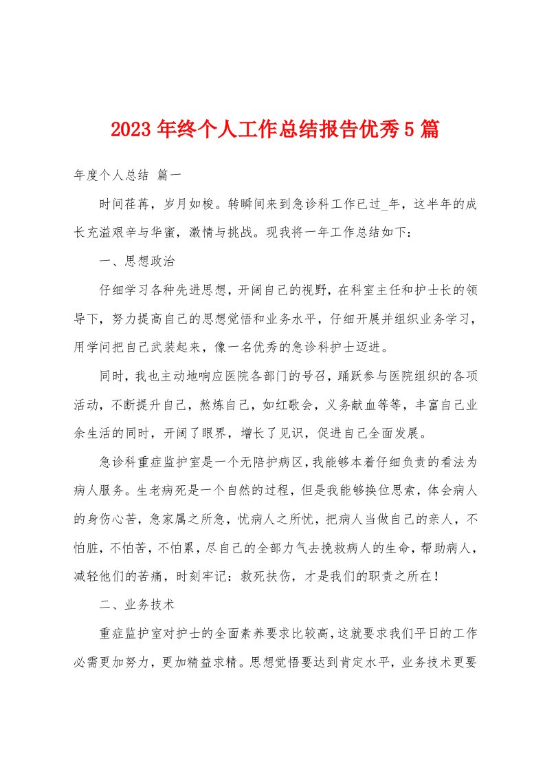 2023年终个人工作总结报告优秀5篇