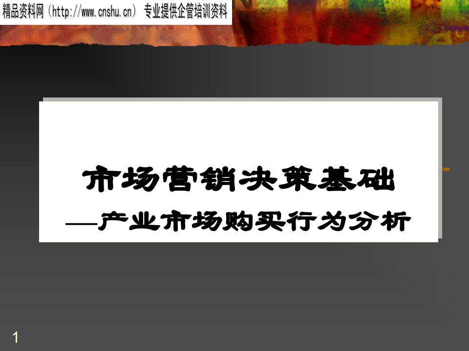 [精选]产业市场购买行为分析（PPT19页）