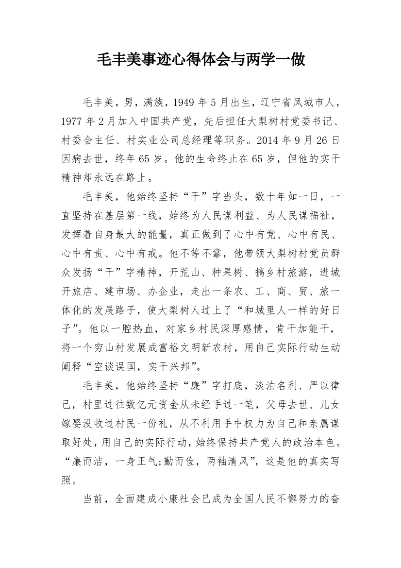 毛丰美事迹心得体会与两学一做