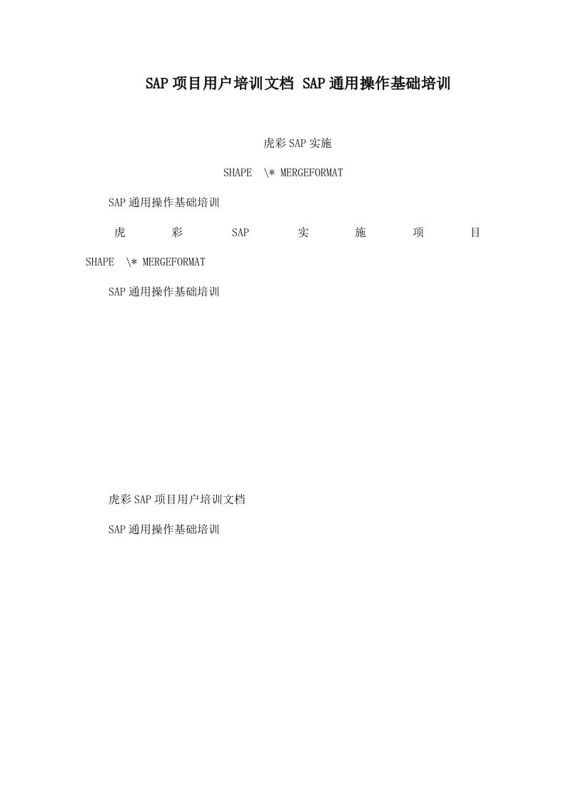 SAP项目用户培训文档