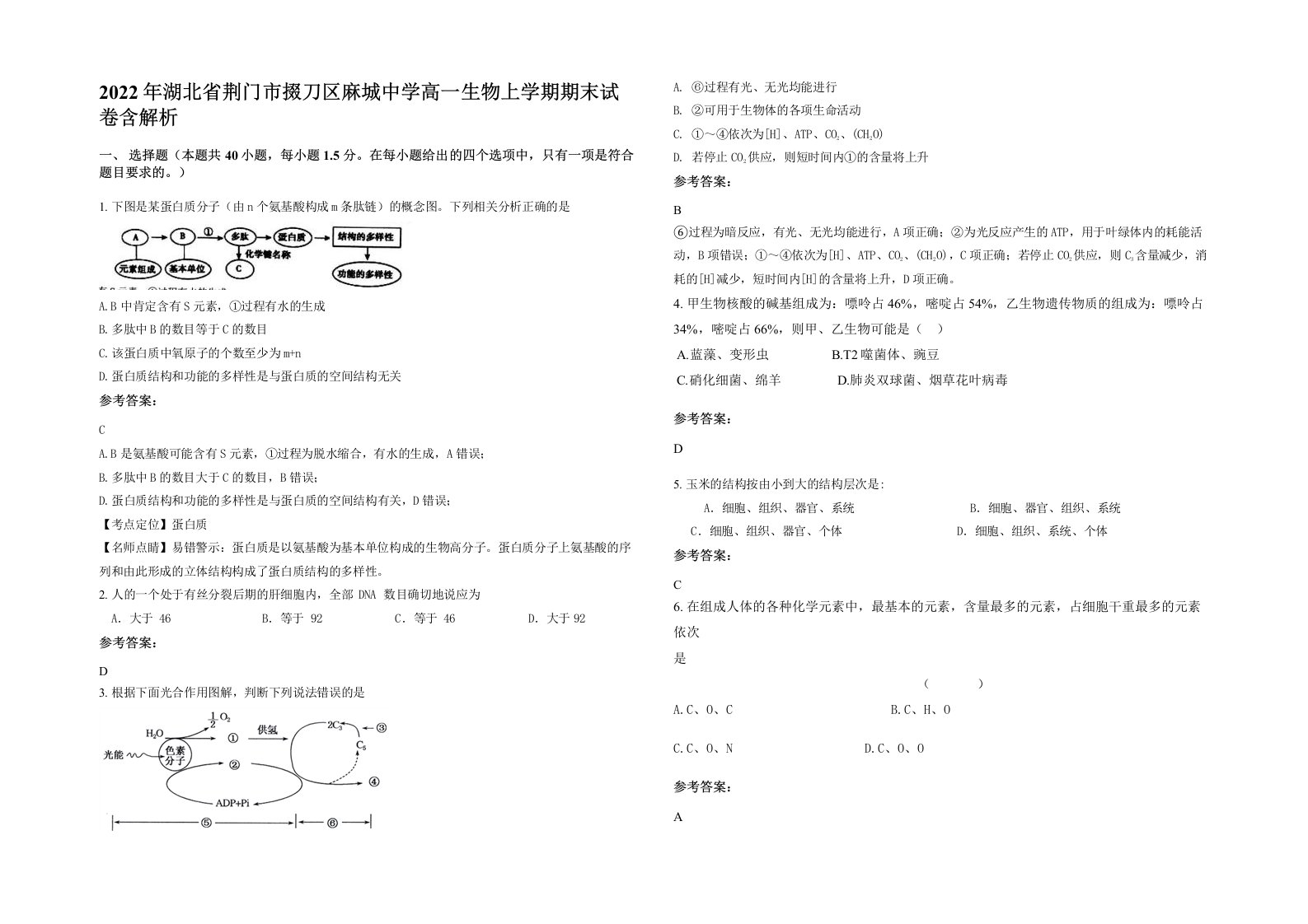 2022年湖北省荆门市掇刀区麻城中学高一生物上学期期末试卷含解析