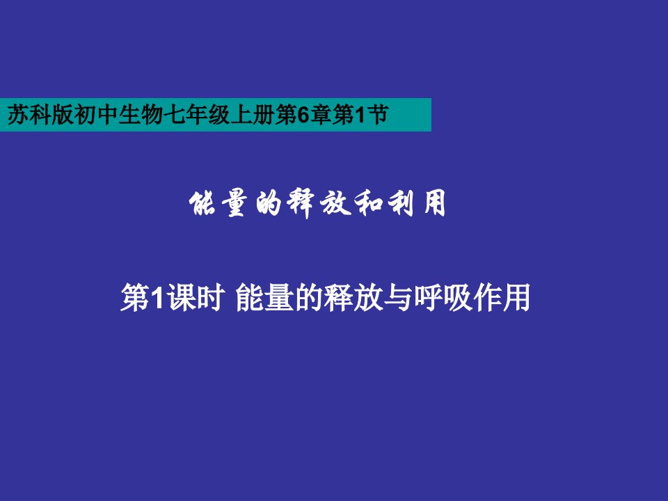 能量的释放和利用