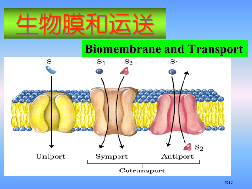 生物膜和运输公开课一等奖优质课大赛微课获奖课件