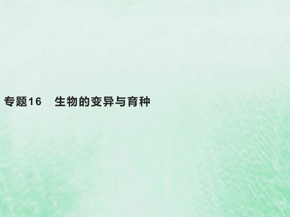 2022高考生物基础知识综合复习第七单元生物的变异与进化专题16生物的变异与育种课件