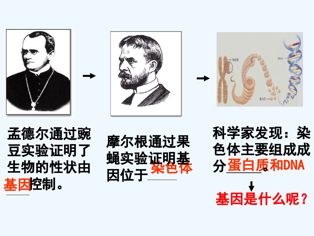 生物一轮复习课件：DNA是主要的遗传物质