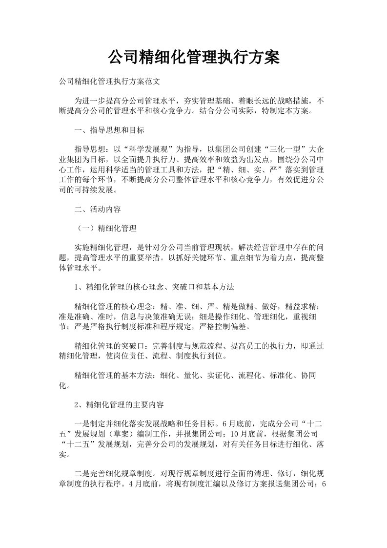 公司精细化管理执行方案