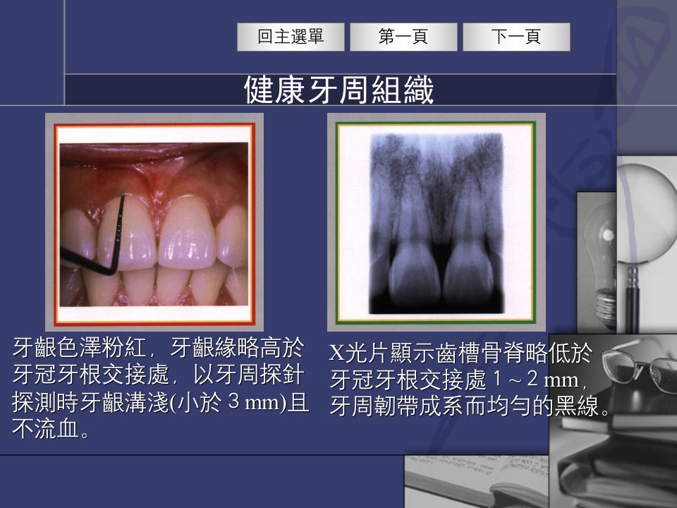 健康牙周组织