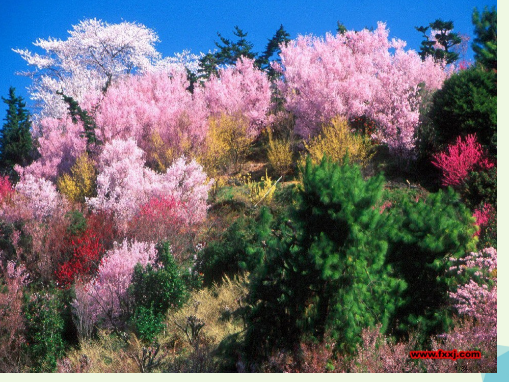 一年级语文上册小熊住山洞课件省公开课一等奖新名师优质课获奖PPT课件