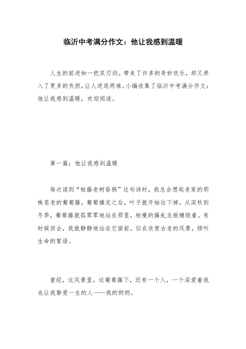 临沂中考满分作文：他让我感到温暖