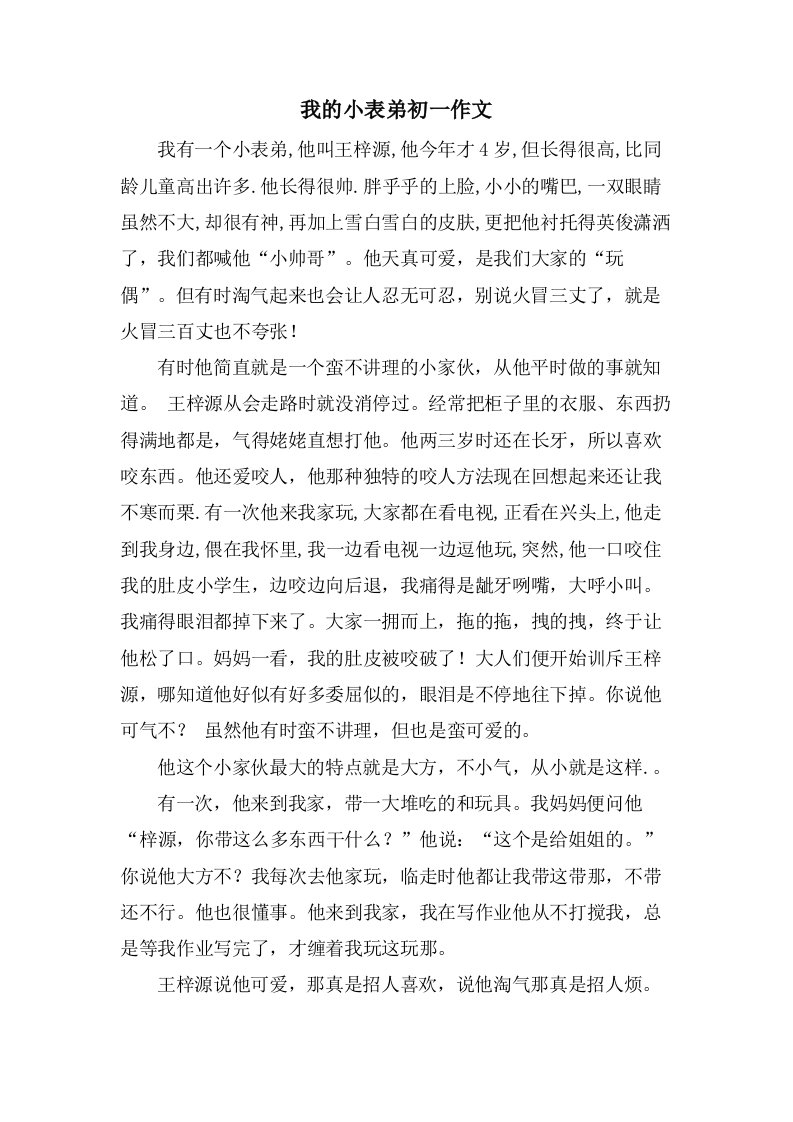 我的小表弟初一作文