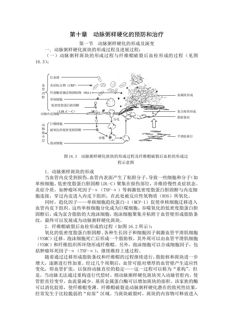 动脉粥样硬化的预防和防治