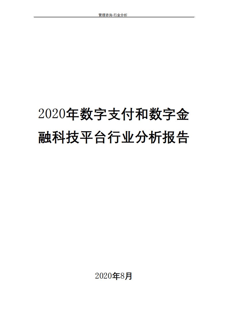 2020年数字支付和数字金融科技平台行业分析报告