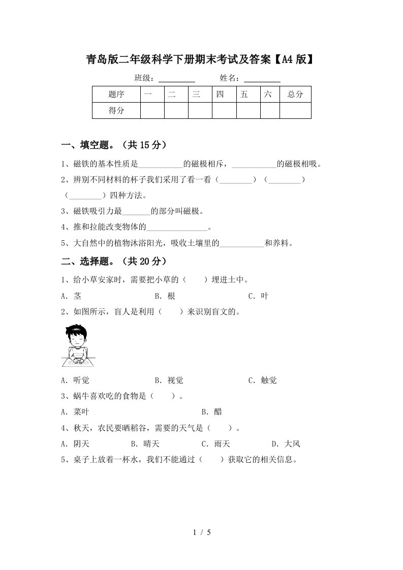 青岛版二年级科学下册期末考试及答案A4版