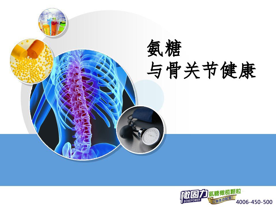 《氨糖与关节健康》PPT课件