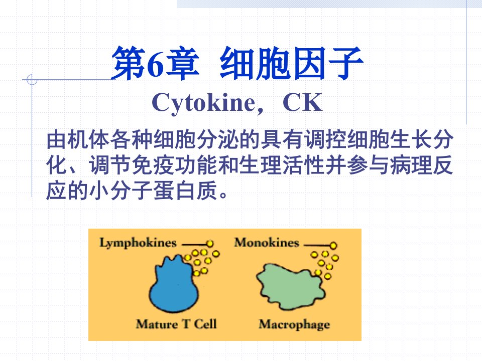 c6细胞因子（精选）