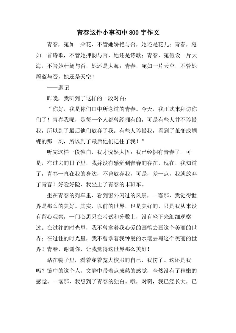 青春这件小事初中800字作文