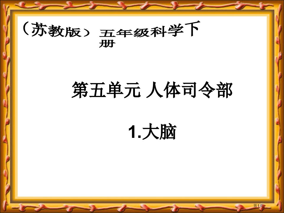 大脑苏教版小学科学五年级下册市名师优质课比赛一等奖市公开课获奖课件