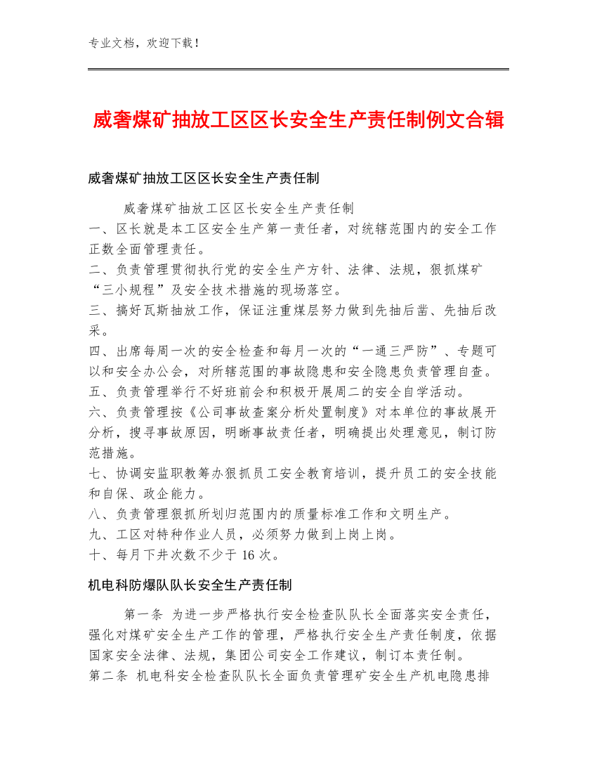 威奢煤矿抽放工区区长安全生产责任制例文合辑