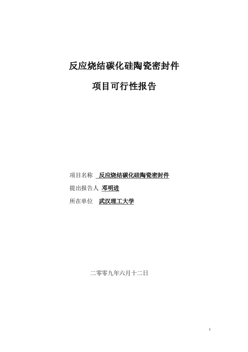 反应烧结陶瓷密封件项目可行性分析报告1