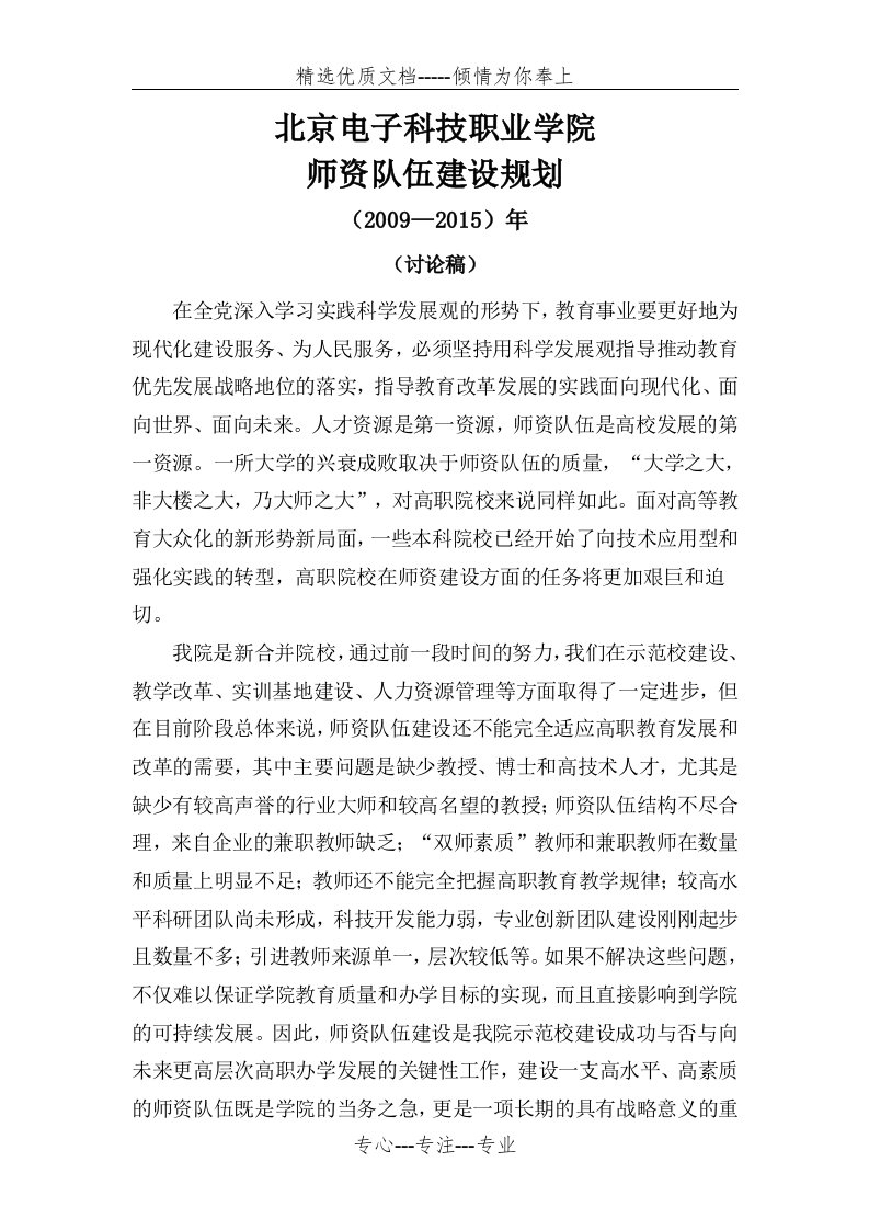 师资队伍建设规划(共21页)