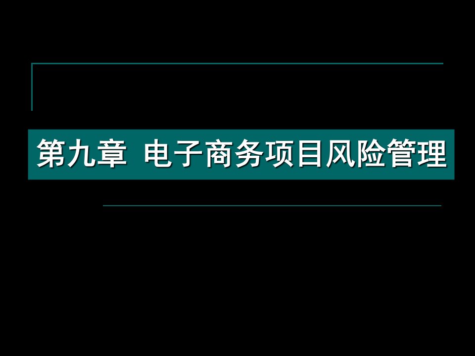 第九章电子商务项目风险管理