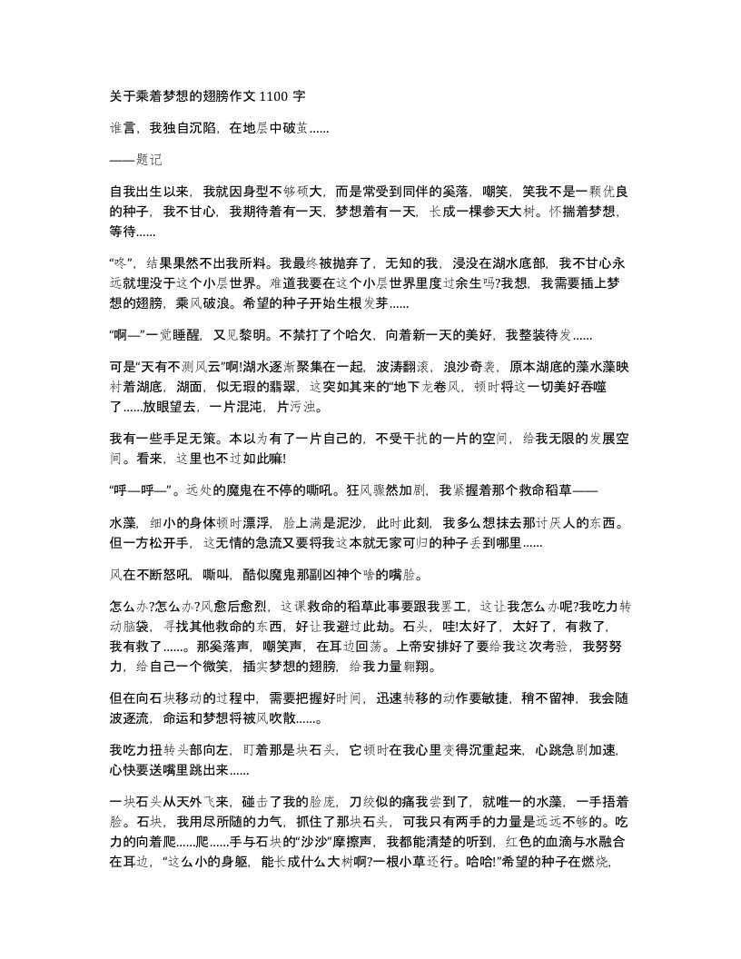 关于乘着梦想的翅膀作文1100字