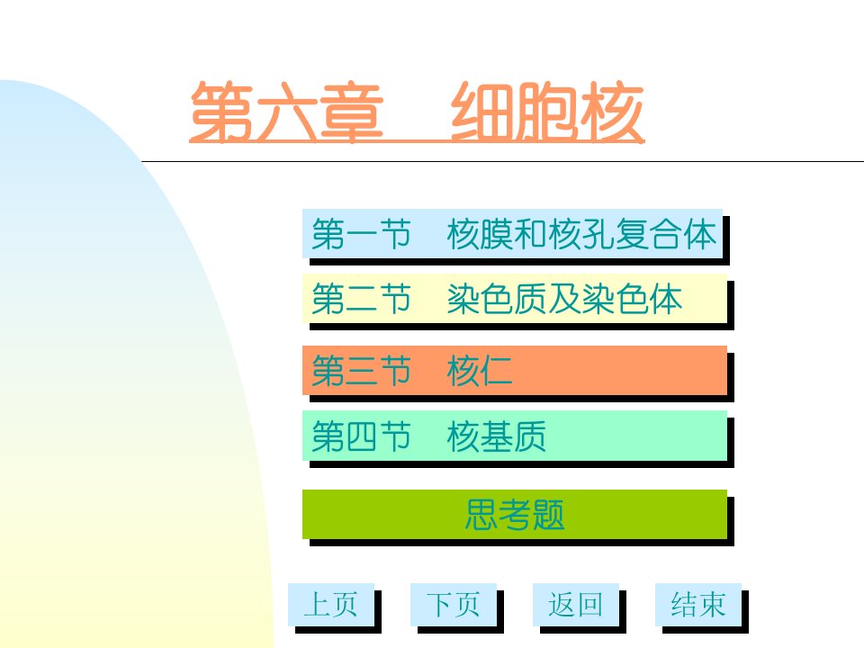 《细胞核多媒体》PPT课件