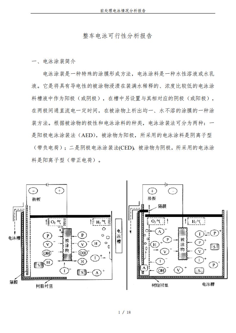 前处理电泳情况分析报告