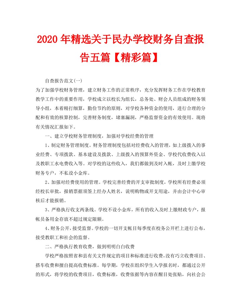 2020年精选关于民办学校财务自查报告五篇【精彩篇】