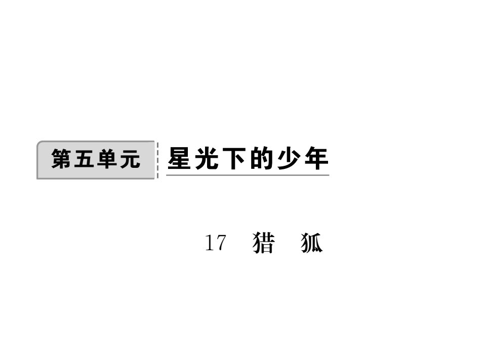 17.猎狐练习题及答案