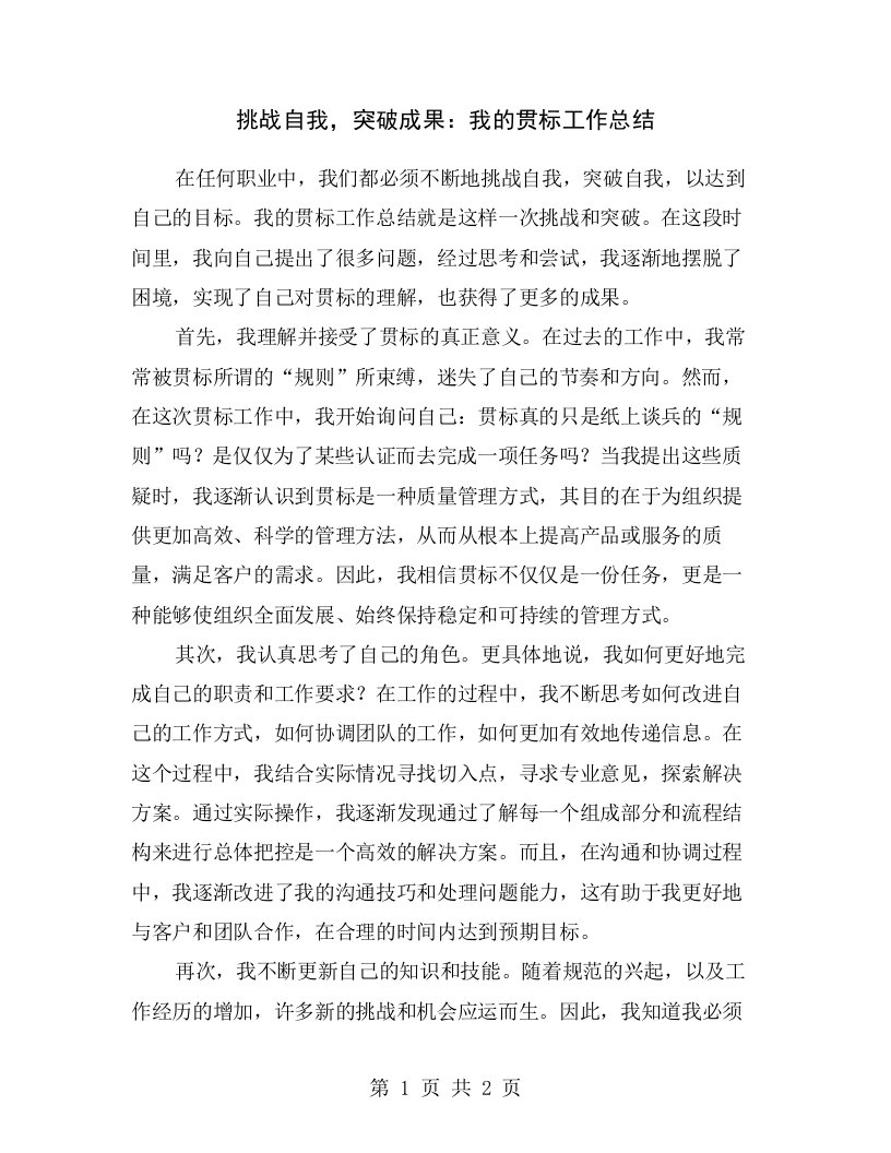 挑战自我，突破成果：我的贯标工作总结