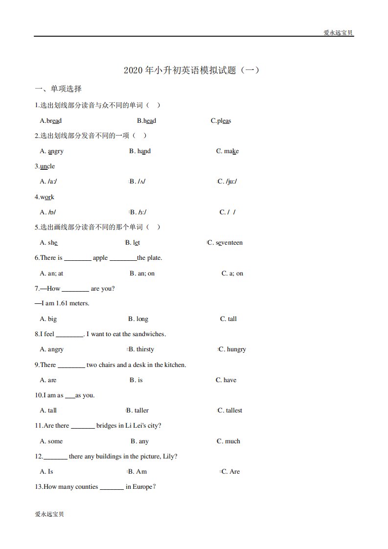 2024年小升初英语模拟试题(一)