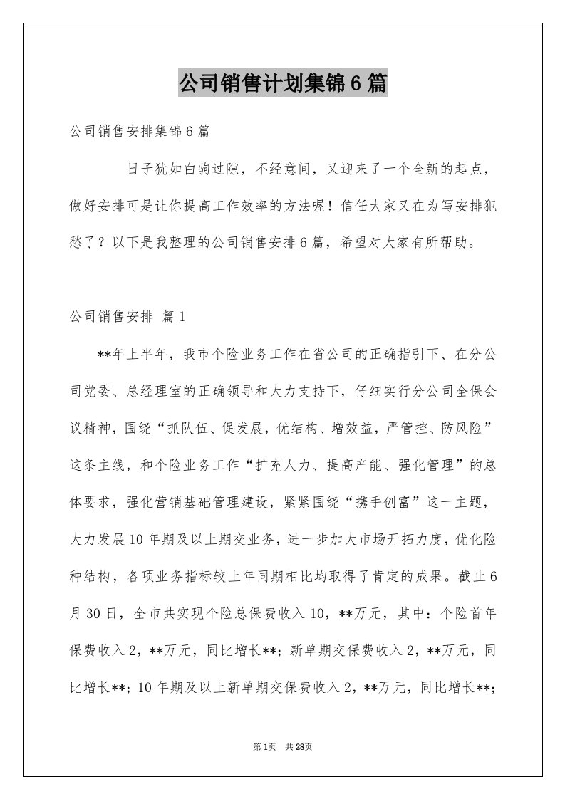 公司销售计划集锦6篇精选