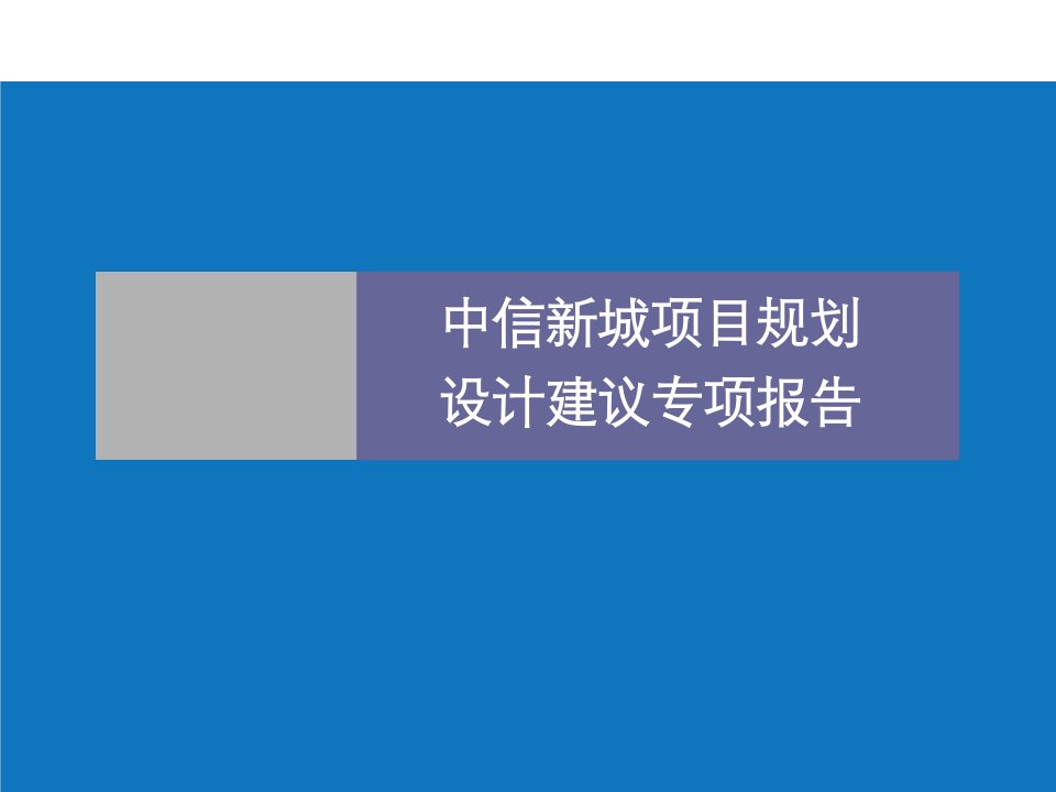 项目管理-长沙市中信新城项目规划设计