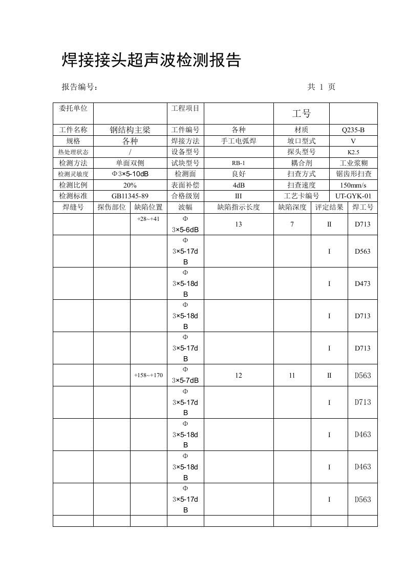 超声检测报告1样本