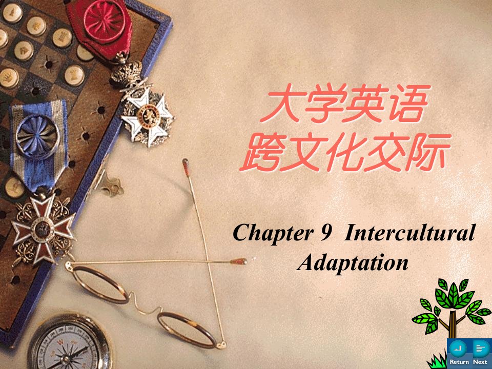 大学英语跨文化交际chapter9