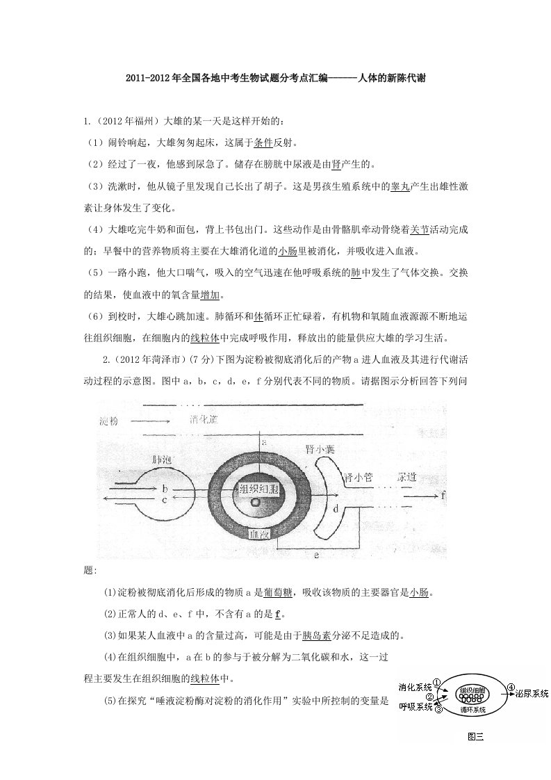 2012年中考生物试题汇编-人体的新陈代谢