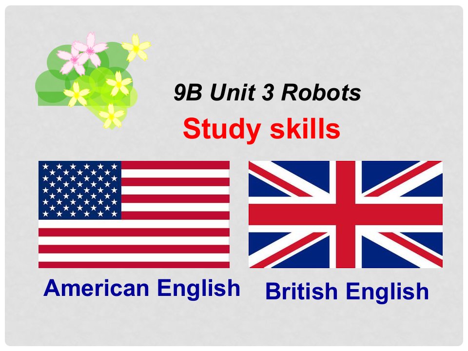 江苏省扬中市八桥中学九年级英语下册