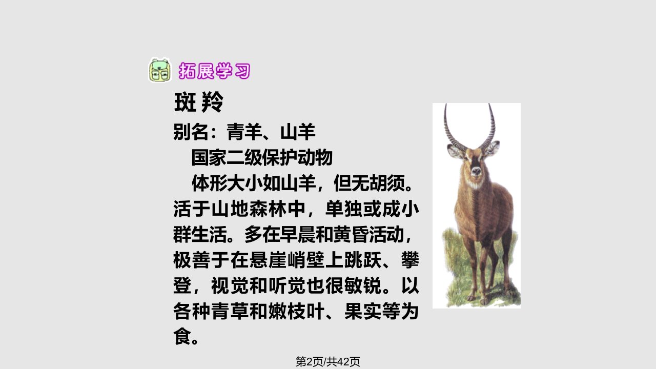 生命的壮歌之生命桥