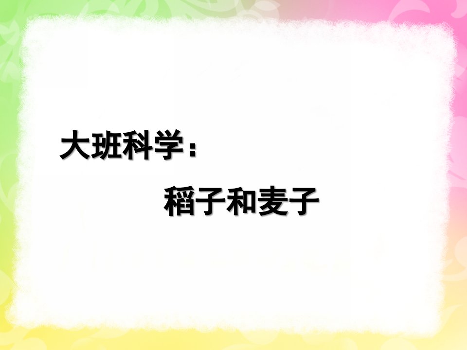 大班科学《稻子和麦子》PPT课件教案稻子和麦子