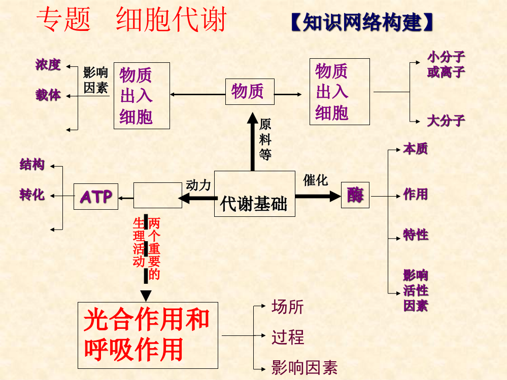 专题细胞代谢